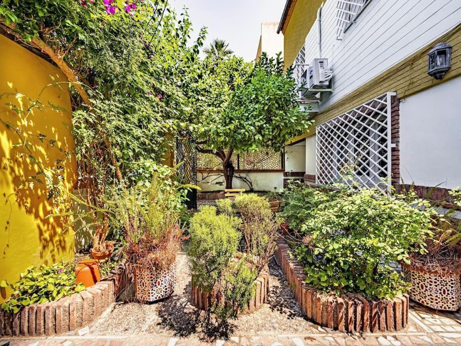 Casa Limonero Con Parking Gratis Junto A Centro Historico Hébergement de vacances Grenade