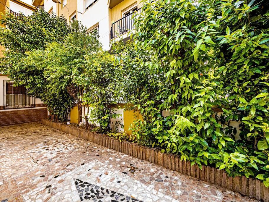 Hébergement de vacances Casa Limonero Con Parking Gratis Junto A Centro Historico *