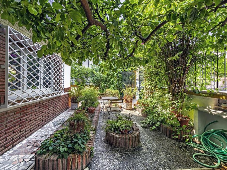 Casa Limonero Con Parking Gratis Junto A Centro Historico Hébergement de vacances *
