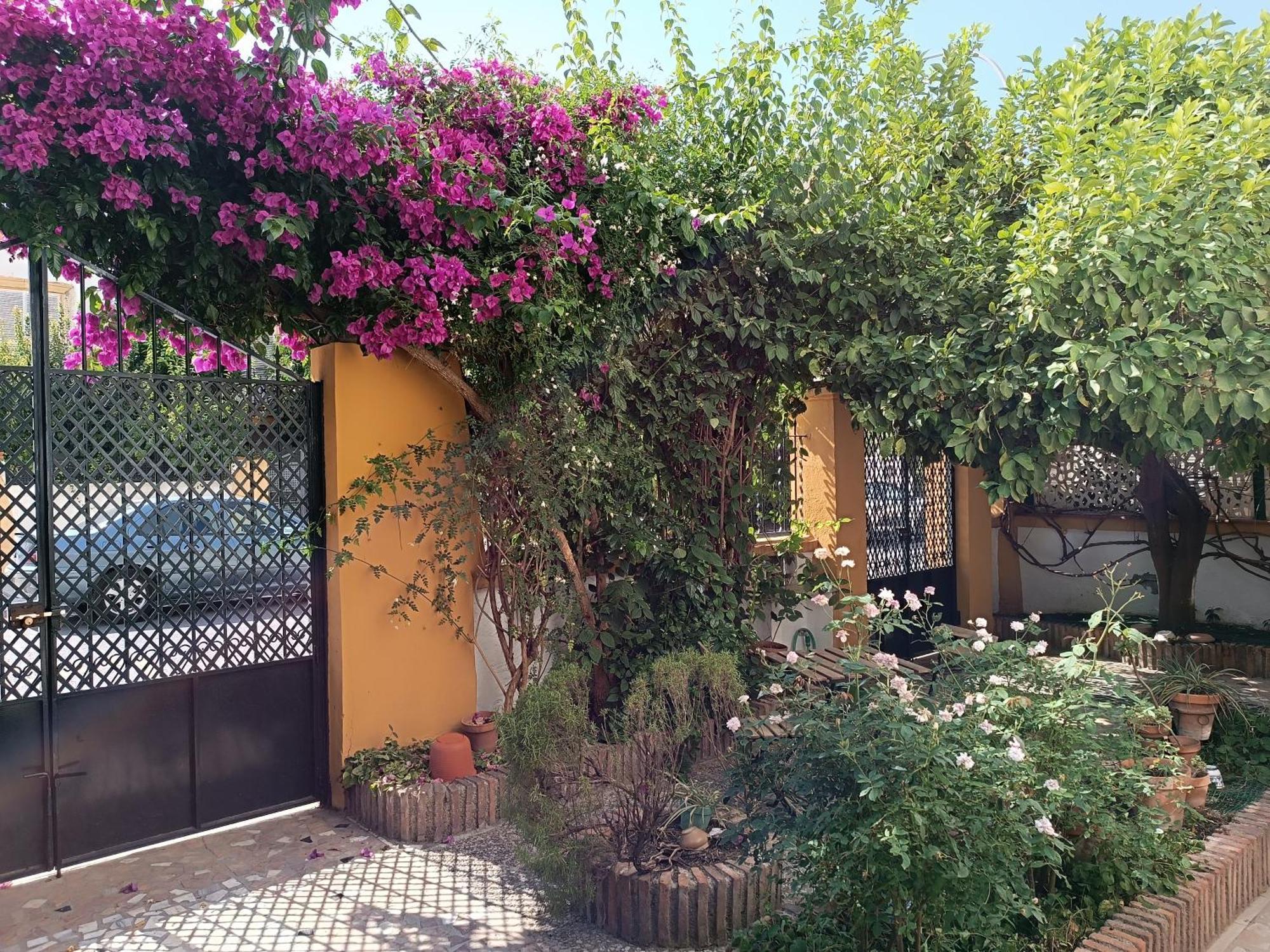 Casa Limonero Con Parking Gratis Junto A Centro Historico Hébergement de vacances Grenade